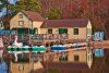 paddle-boats.jpg