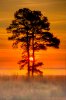 forsythe-sunrise-with-ground-fog.jpg