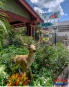 STP_20250804_094-HDR.jpg